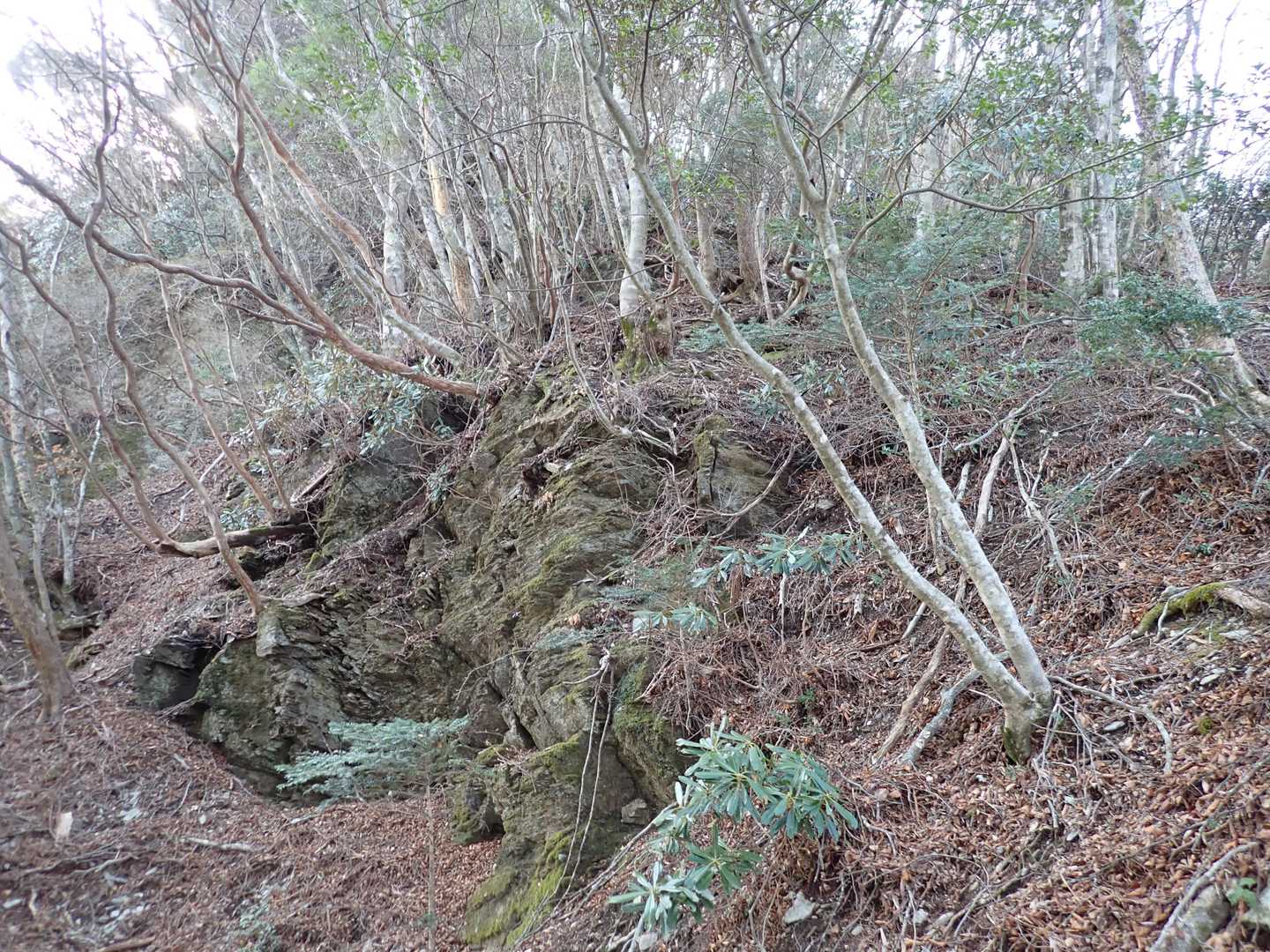ここも、現実は、岩塊に衝撃を受けてるところ