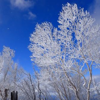 山頂に着いた瞬間！嬉しい青空に変わって！
