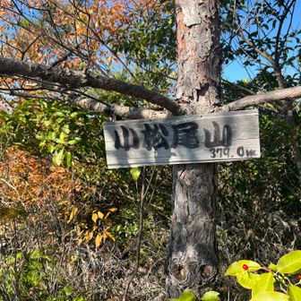 小松尾山　山頂

地元の方に、
ここらへん熊でます？って聞いたら、
熊野辺りとか毎年1、2回聞くよ〜
と伺って、さらに熊鈴をかき鳴らす。