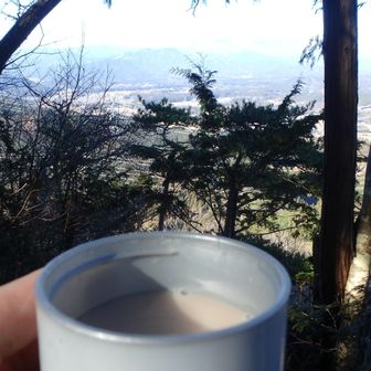 チャイにハマってます