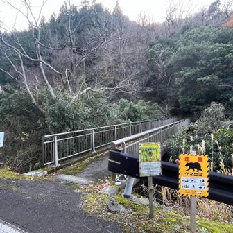 下山、今日は暖かくて、とても快適な山登りだった。
おつかれやまでした。