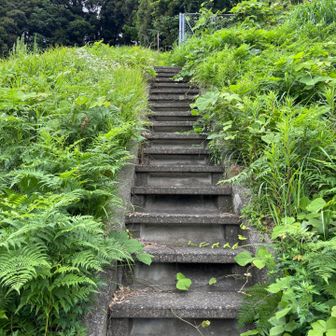 割と急