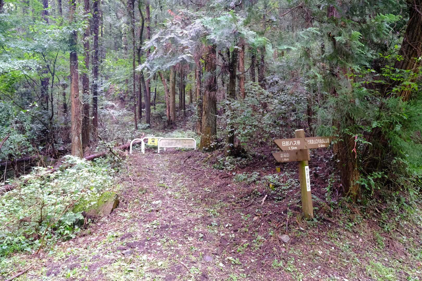 階段状の道を過ぎてやや拓けた場所に出ると、登山口はすぐ左手だ。