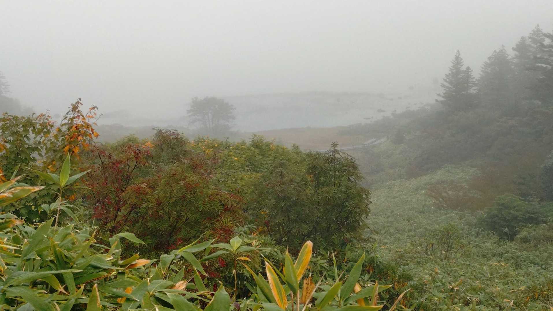 鎌沼薄っすらと