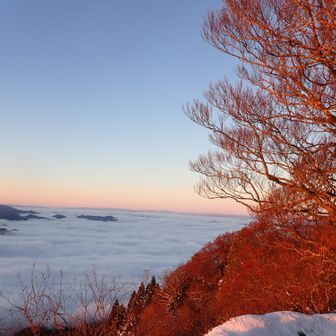 やったー！赤葉山と雲海