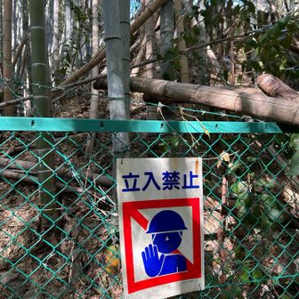 忌部山ピークは立ち入り禁止🚧