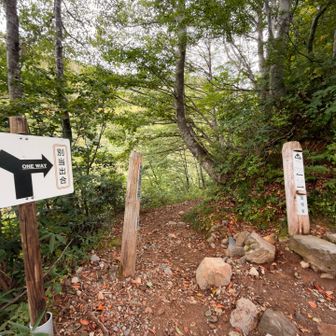 🏞️https://aito.photo/?P=M23RM8ZQ