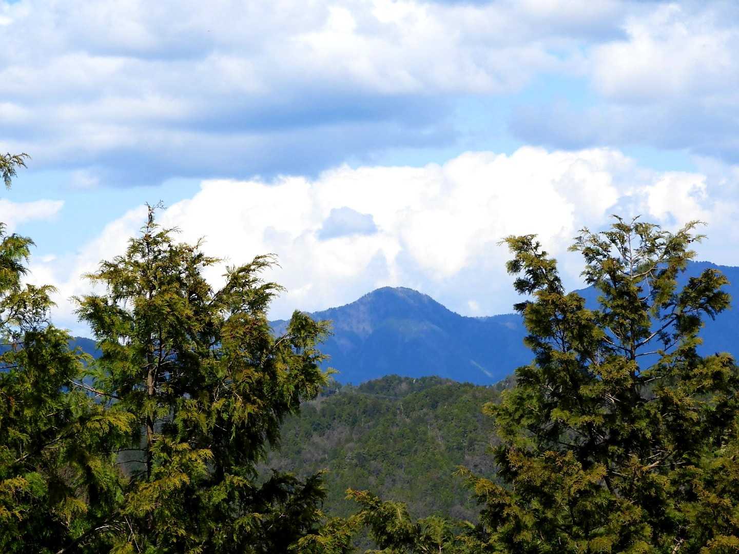 こちらは美濃の「古城山」ですね😃