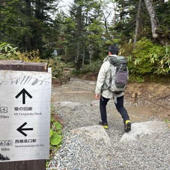 ロープウェイで到着後は、急いで登山口に行かないといけないのに、スタンプラリーとかトイレとか、曇っているのに展望台で撮影とか…早速寄り道しすぎた。槍の回廊⁉️寄りたいけど明日となる。