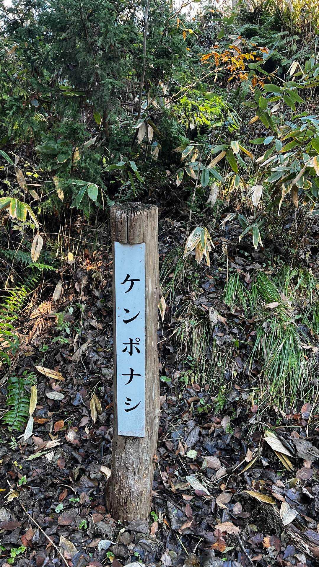 ケンポナシってさぁ…
なんでケンポナシなんだろう？
誰か教えて下さい🙏