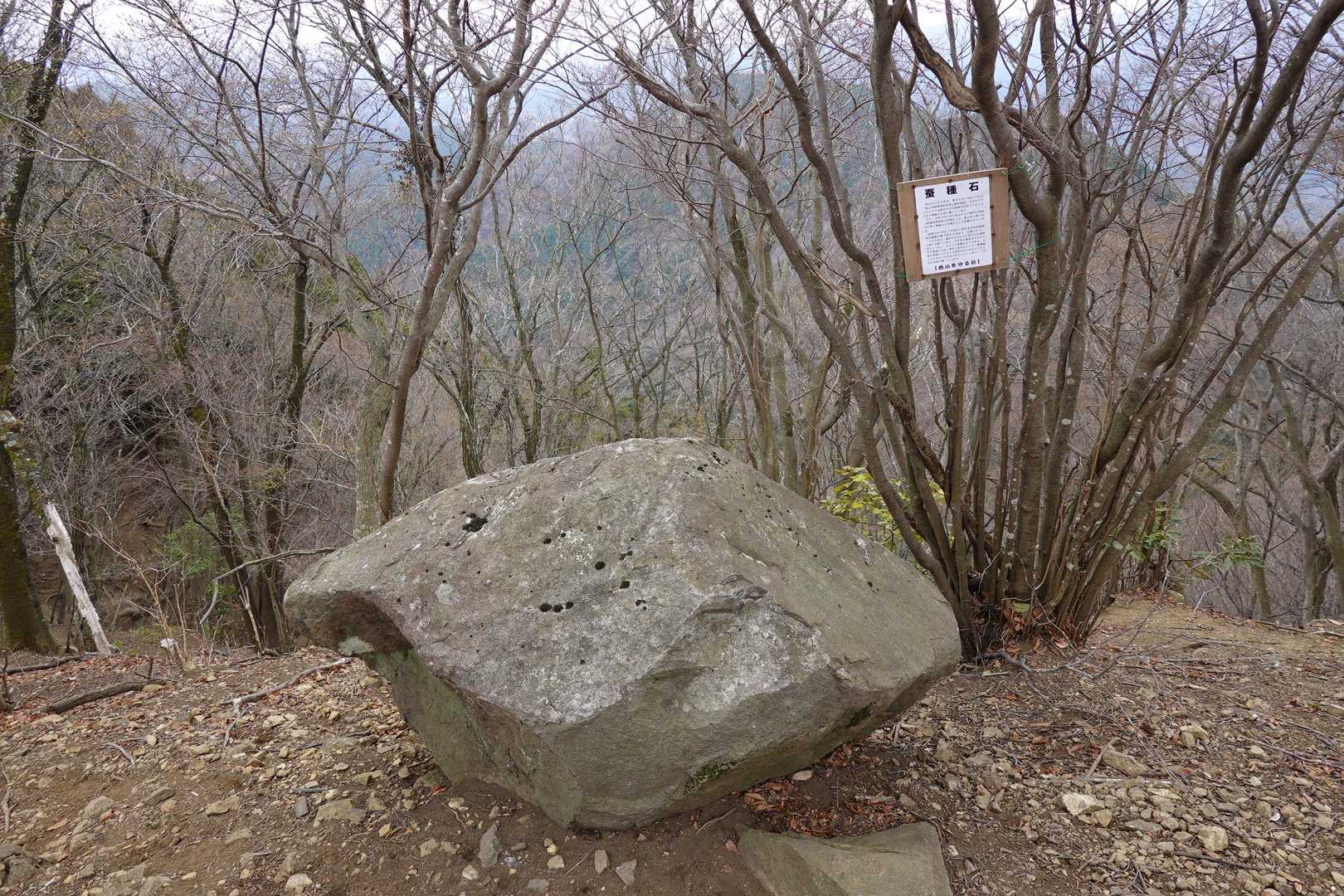 蚕種石（こたねいし）
冬は白く、4月下旬になると青色に変わるらしい（本当かいな？！ラピュタの飛行石じゃあるまいしw）