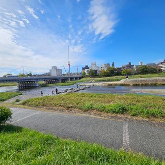 鴨川
天気がいいので京都駅まで歩きました