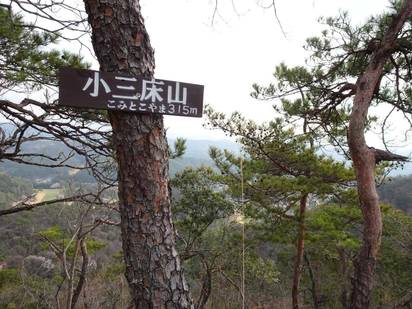 出尾根コース登山口-三床山 周回コースの写真