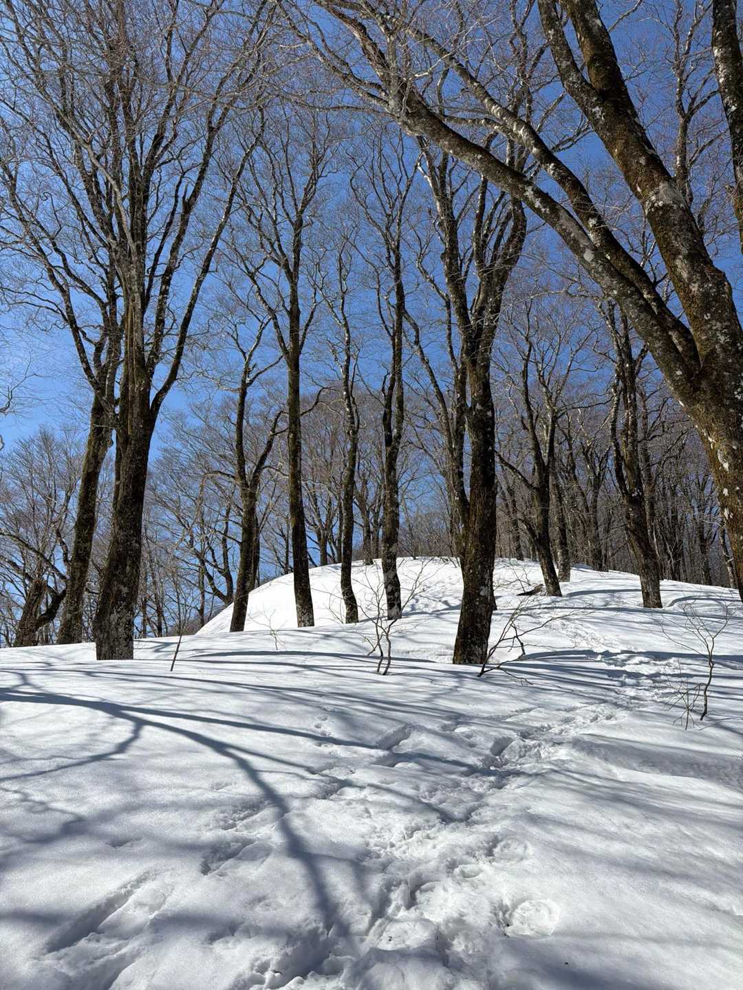 とにかく天気が良く気持ちがいい