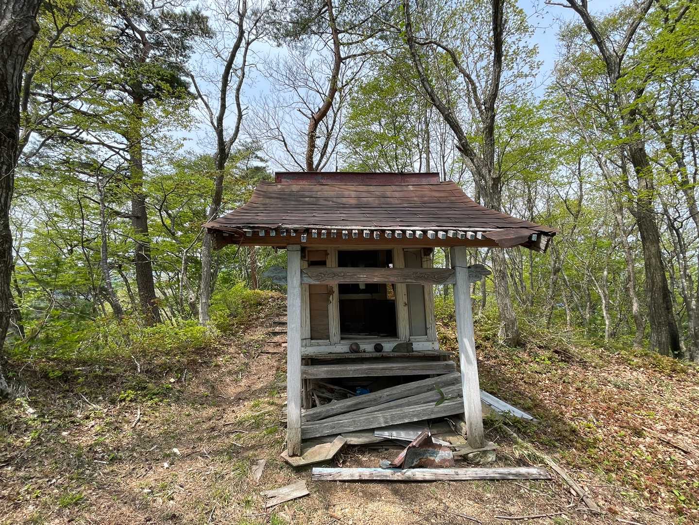 たくさんのお花たちが咲く豊かな里山に感謝のお参りです😊