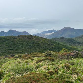 やはりミヤマキリシマは完全に終わってました😭
三俣や星生の上の方？1700メートルぐらいでないと残ってないみたい🤧
ここからあの星生までなら行けるかな
キツイかな、、どうしようかな、と