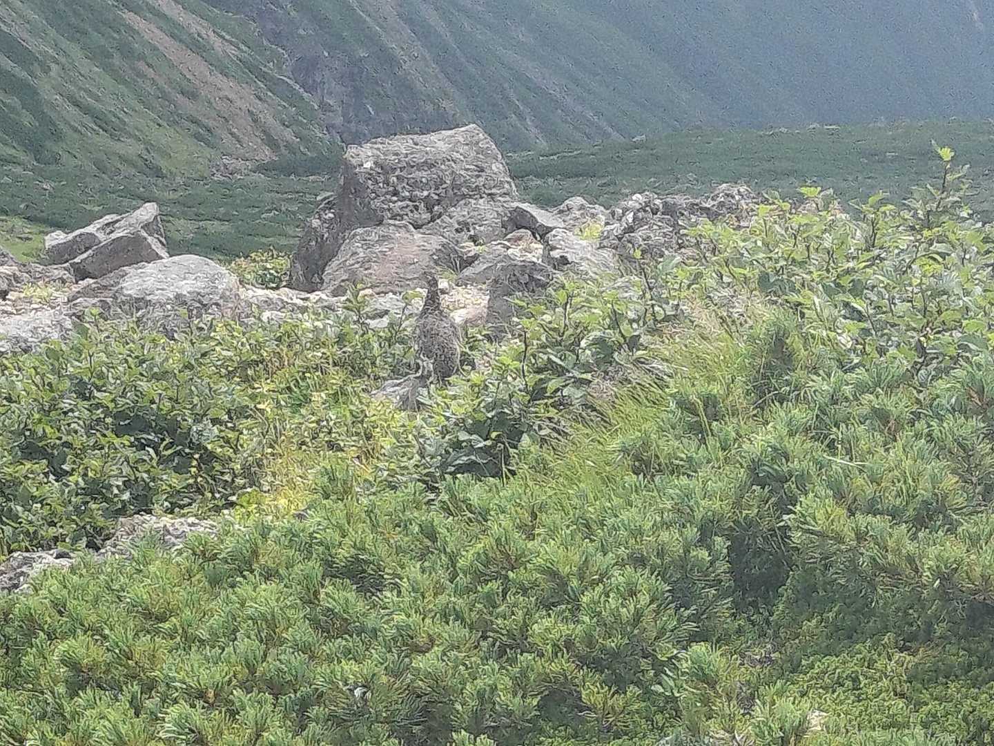 御嶽登山道入口-飛騨頂上-御嶽山-摩利支天乗越 往復コースの写真