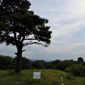 1等三角点