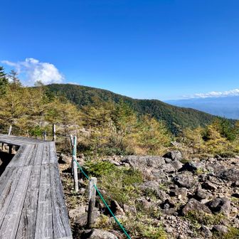 ここは少し自然の庭園な感じ。