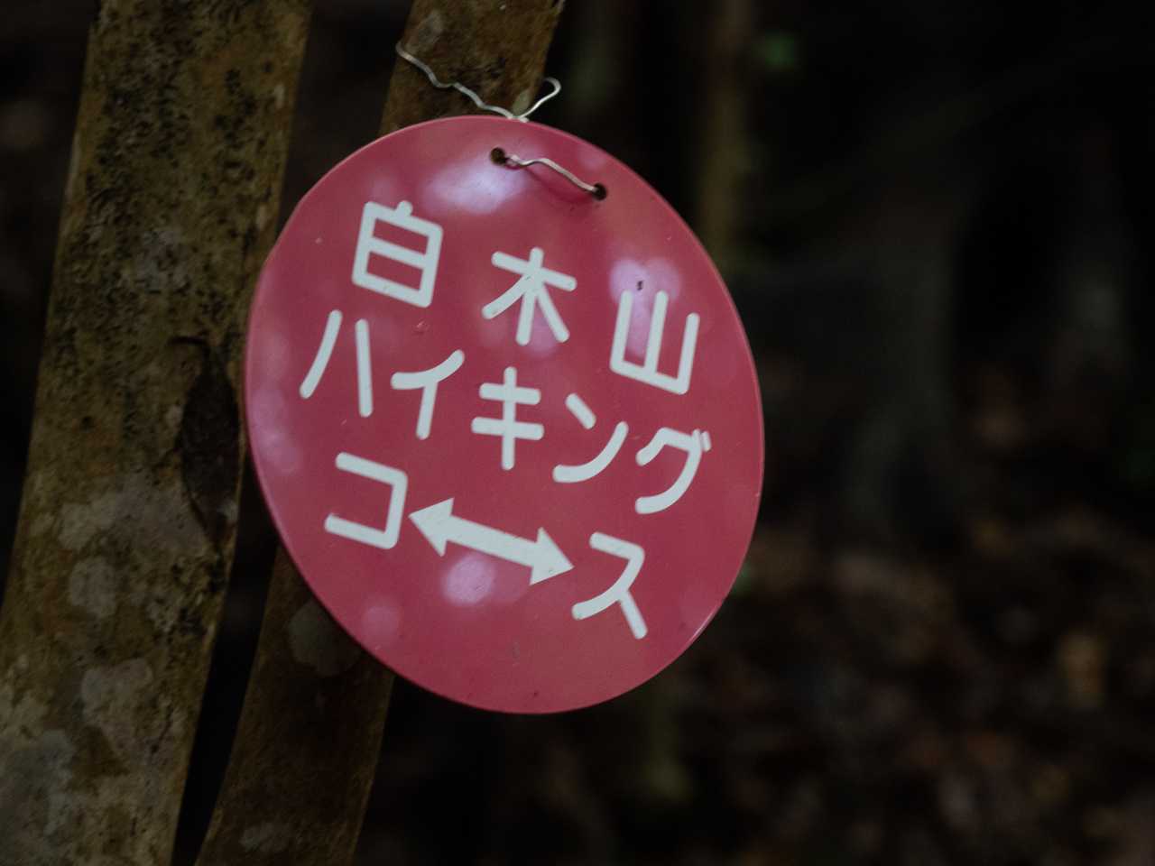 白木山駅-白木山 往復コースの写真