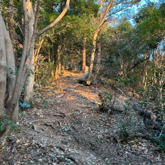 日が当たってきた
今日は長い一日になることを覚悟して進む