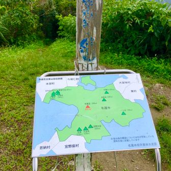 名護岳山頂⛰️
