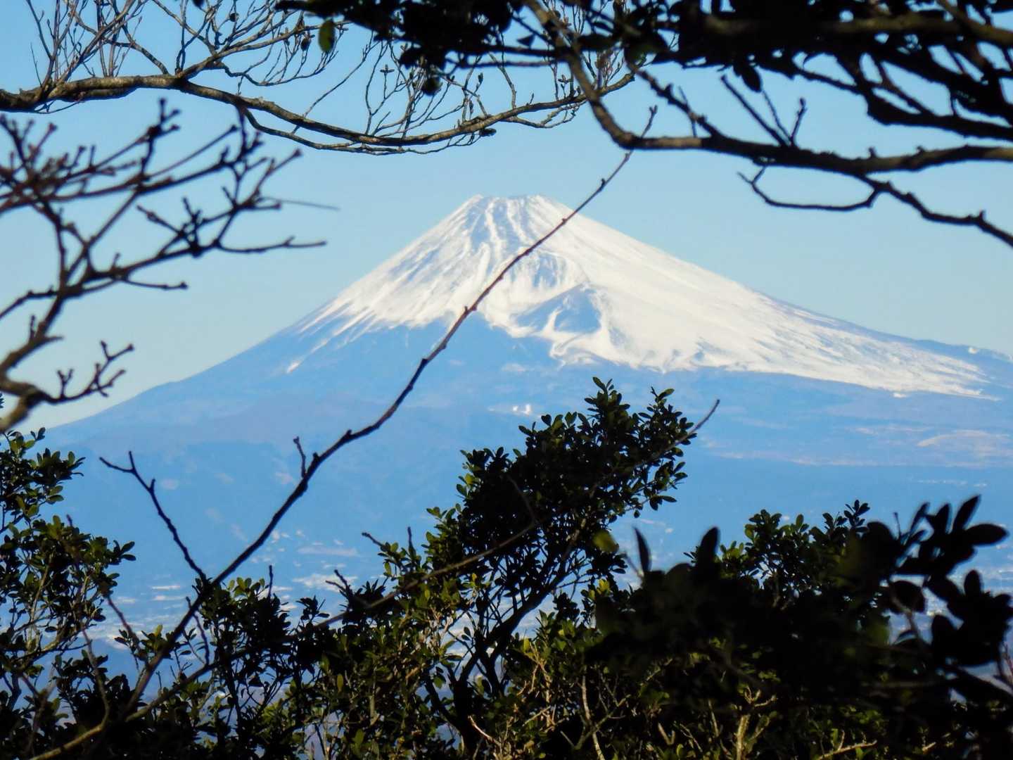 富士山🗻