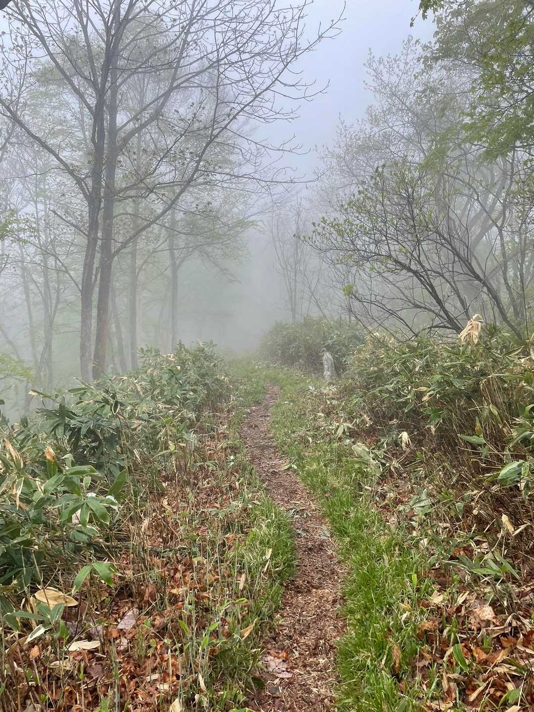 濃霧。白いですねー、