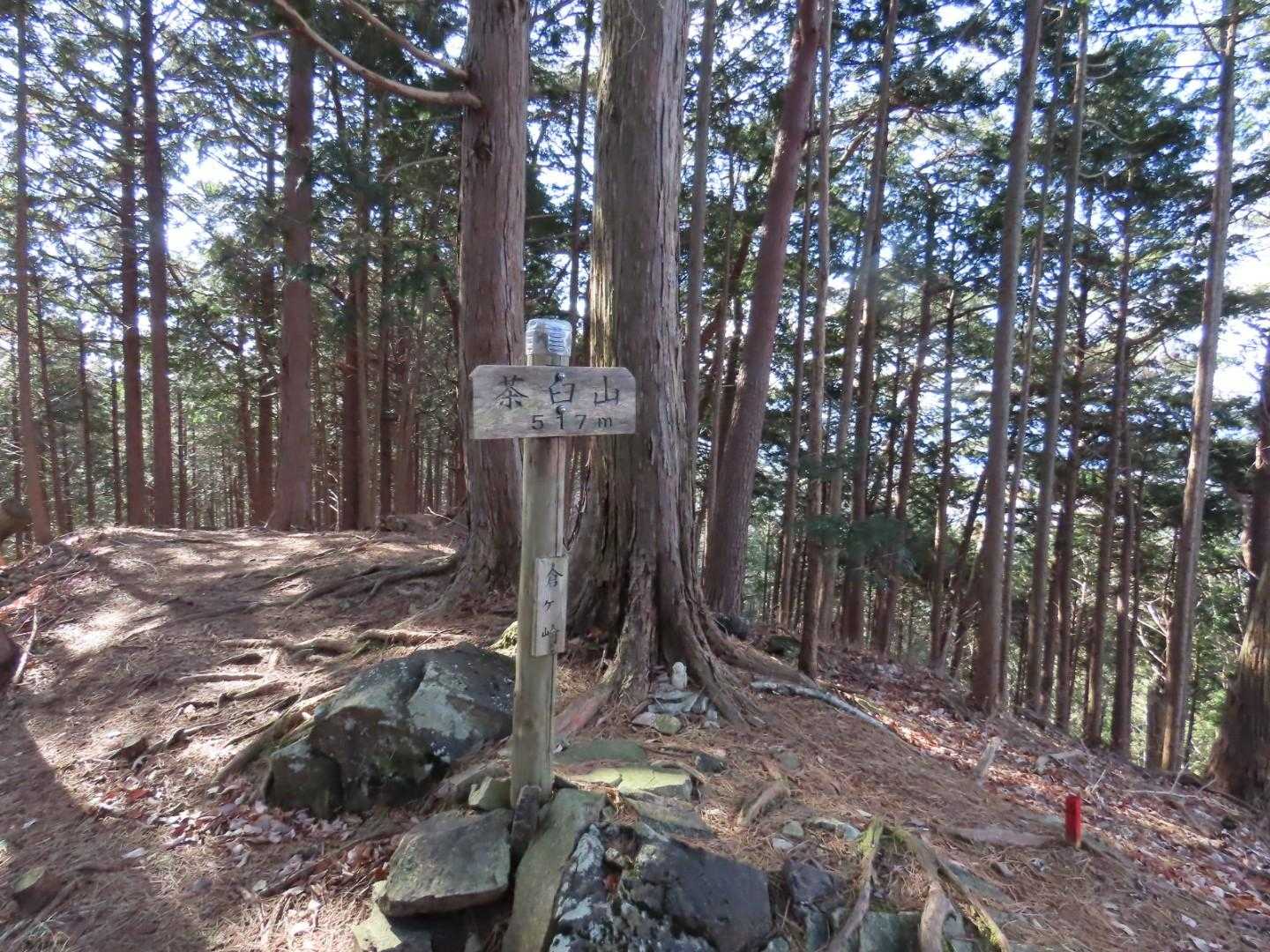 緩やかなアップダウンを繰り返していたら、茶臼山に着いてしまいました.