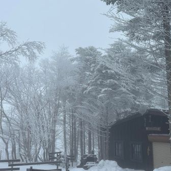  いつかボルシチ食べに来たい
