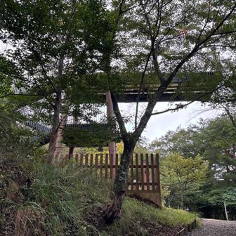 更に進むと展望台。