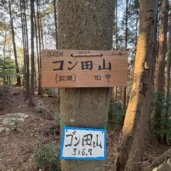 山名標識がいくつも
下のは濁って…ゴン田山