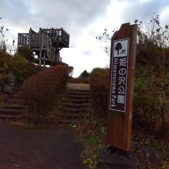 展望台。
駐車場からここまでの急登ここイチキツめ。