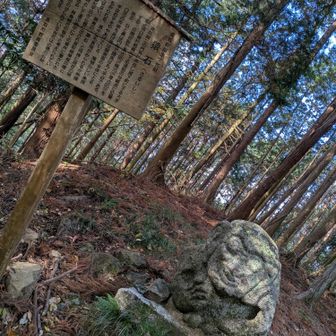 さる!会えたー
何度とたぶん高取山の日記を観てたんだろうなー
フォローワーさんも行ってる人多かったんだろうなー