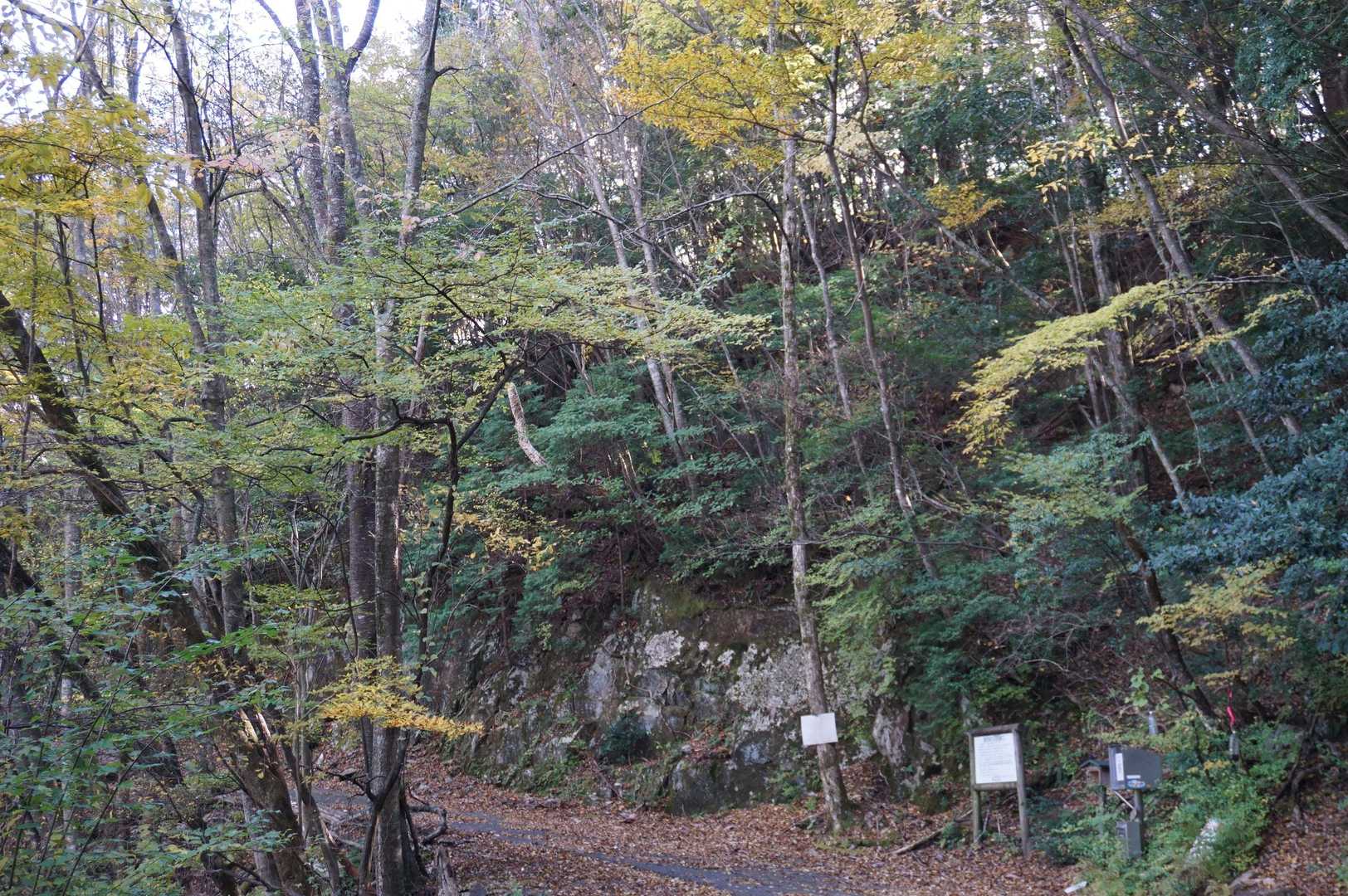 夏木新道登山口に戻った