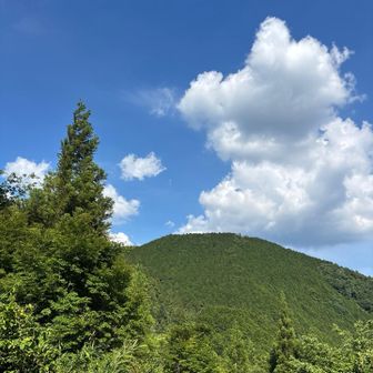 駐車場近くまで降りてきました。