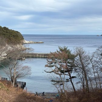 今日はここまでの予定でしたが、少し晴れてきたので浄土ヶ浜まで行ってみます（15分くらい🚶）