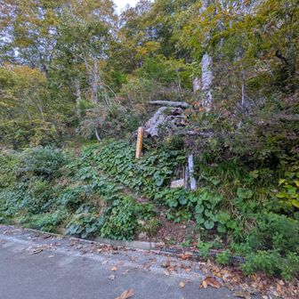 金山登山口。トイレなし。
例年11月中旬から7月上旬まで閉鎖する、林道妙高小谷線内にあり。
基本的に車がすれ違えない道。通行注意。