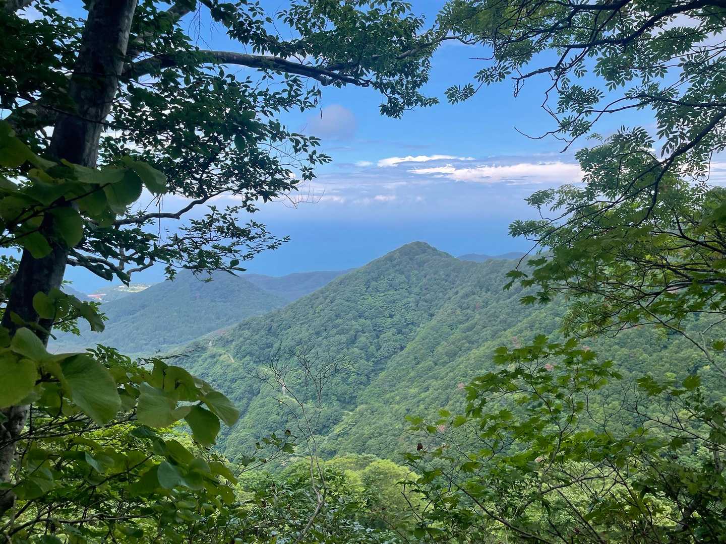また癒し⛰️✨