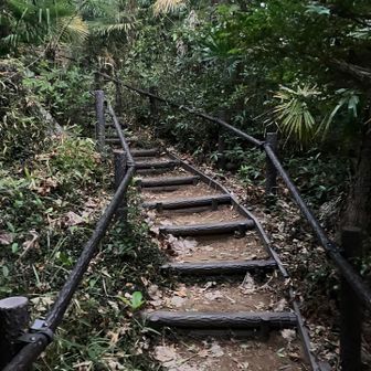 手すりがあるね。