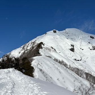 白毛門、捉えましてよ！