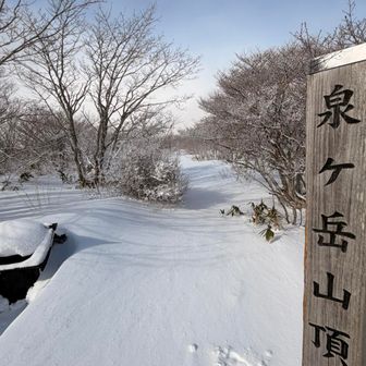 北泉方面トレースなし
あったは雪深いのでねぇ。。
限定尾根はまだでしょうから今日は行きません🙅🏻