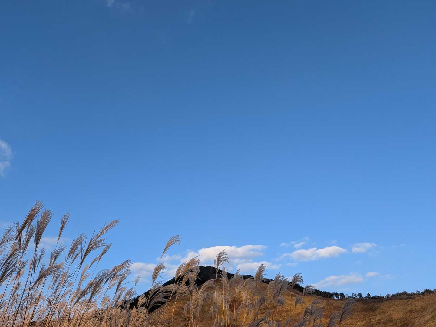 おかわり行ってきます✨