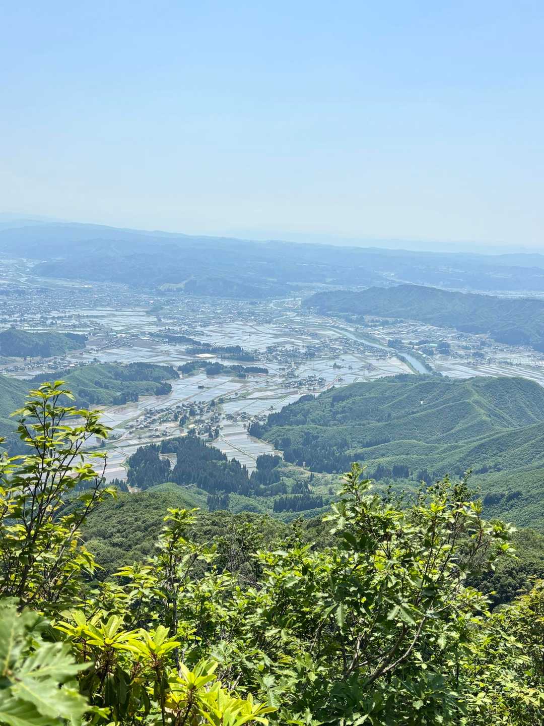 権現堂山登山口-下権現堂山 往復コースの写真