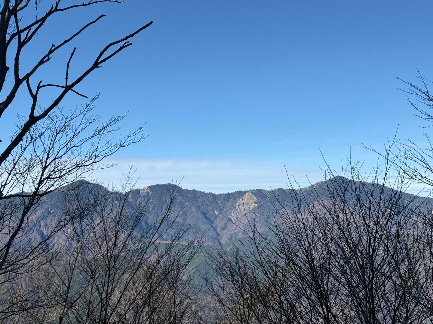 鎌ナギもよく見えるね〜✨