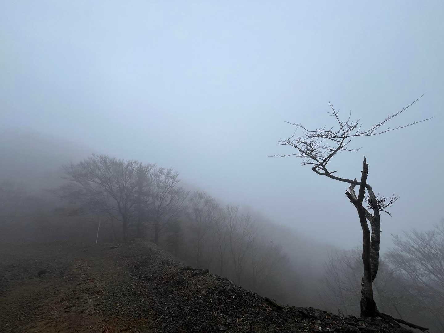 景色は水墨画