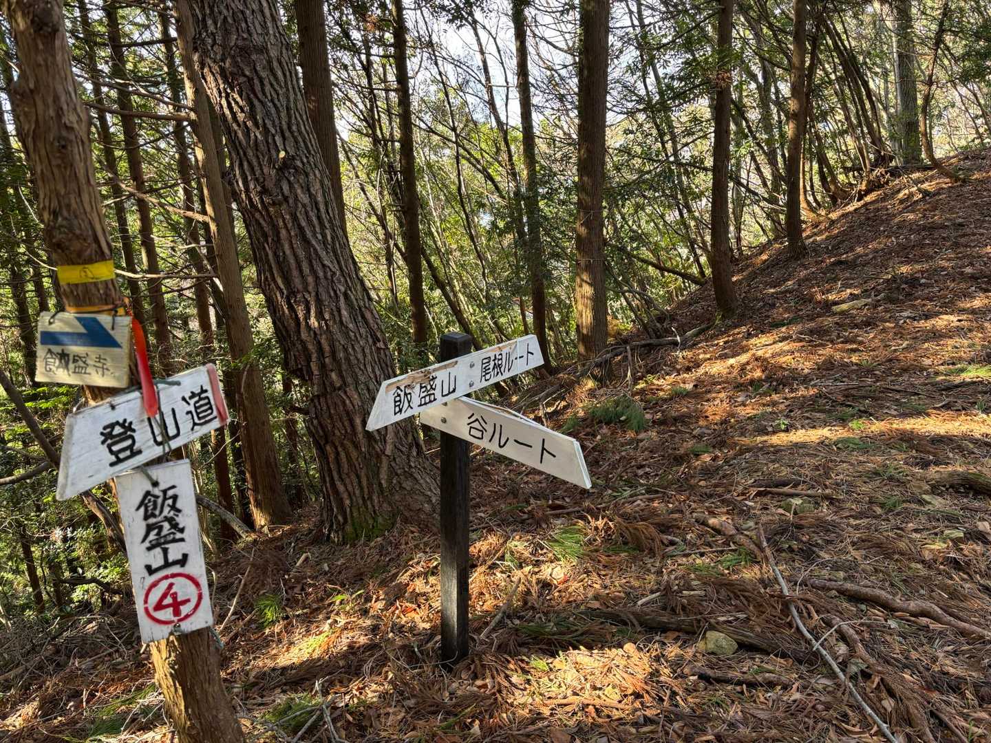 尾根コースと沢コースの分岐っす。
帰りは沢コースから帰ると誓った場所