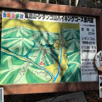 ここでも丁寧な案内
