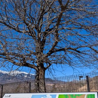 駐車場に戻る
朝の霧氷は消えた。
獅子岩に行って見ましょう。