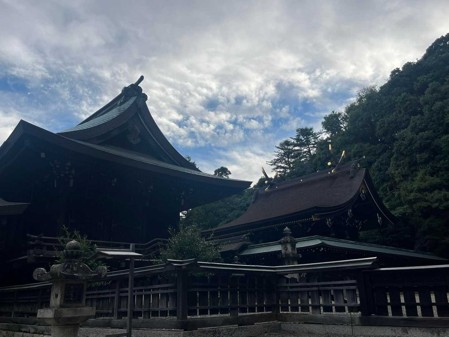 雰囲気いいよね